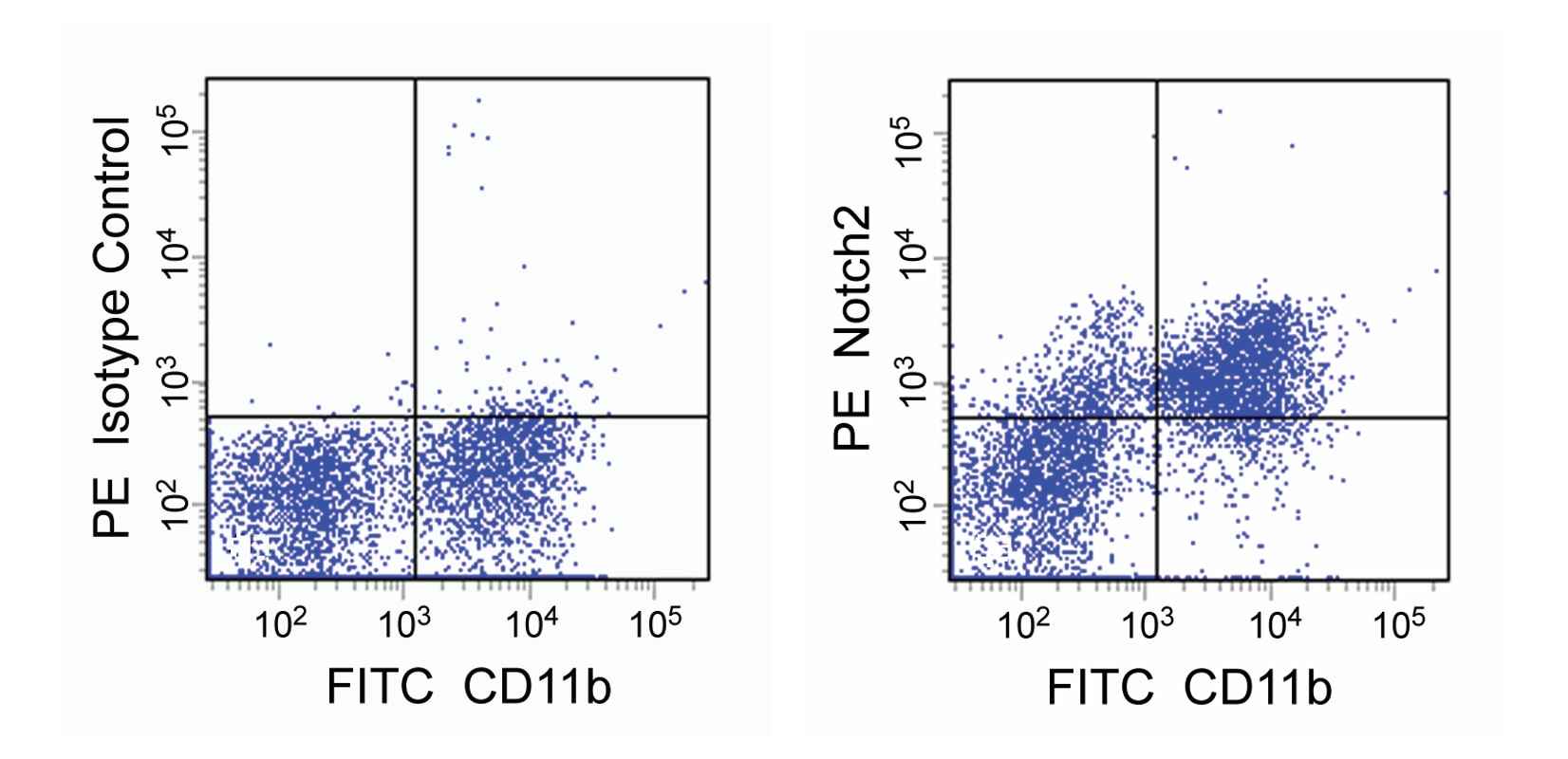 PE Rat anti-Mouse Notch2