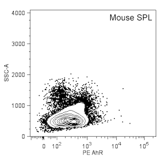BD PharmingenTM PE Mouse Anti-AhR