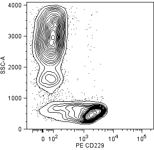 CD229_PE_vs_SSC.png