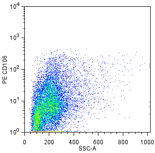 mCD106_PE_positive.png