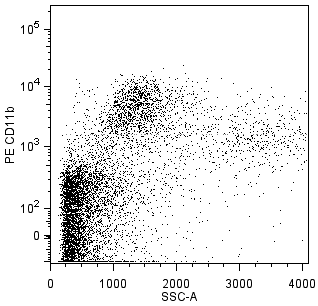 rat_CD11b_PE_positive.png