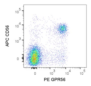 BD PharmingenTM PE Mouse Anti-Human GPR56