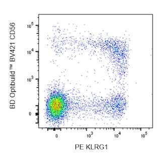 BD PharmingenTM PE Mouse Anti-Human KLRG1