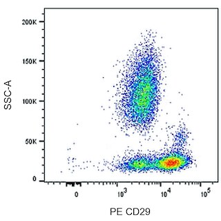 BD PharmingenTM PE Mouse Anti-Human CD29