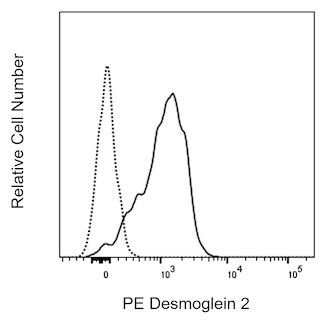 BD PharmingenTM PE Mouse Anti-Human Desmoglein 2