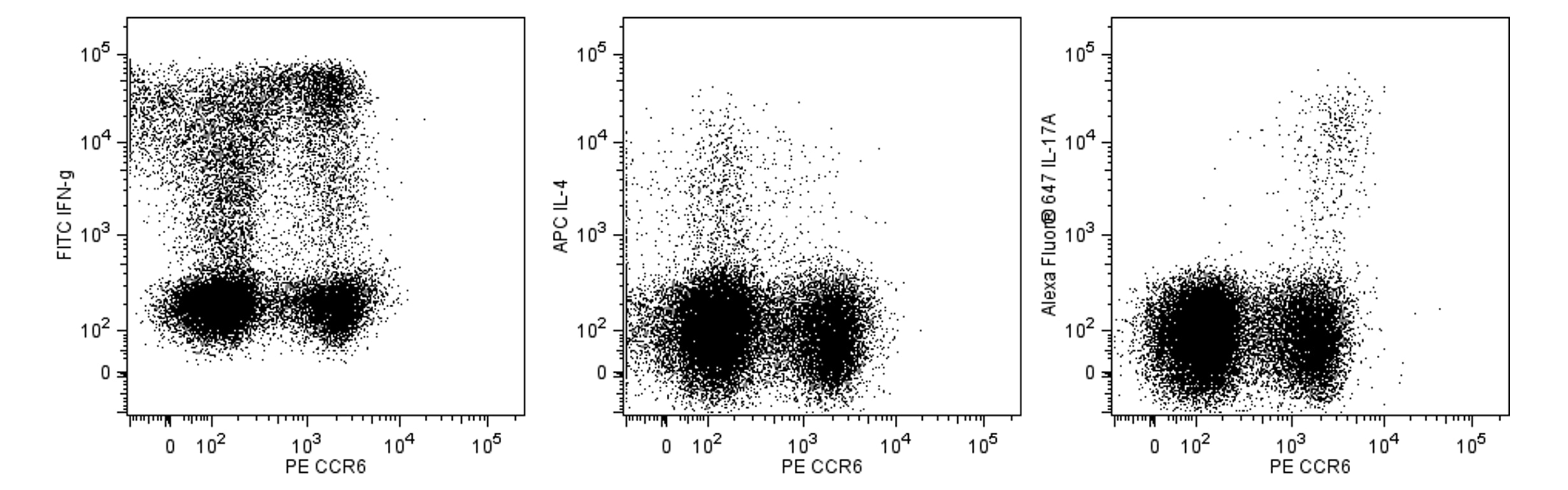 561019Image1.png