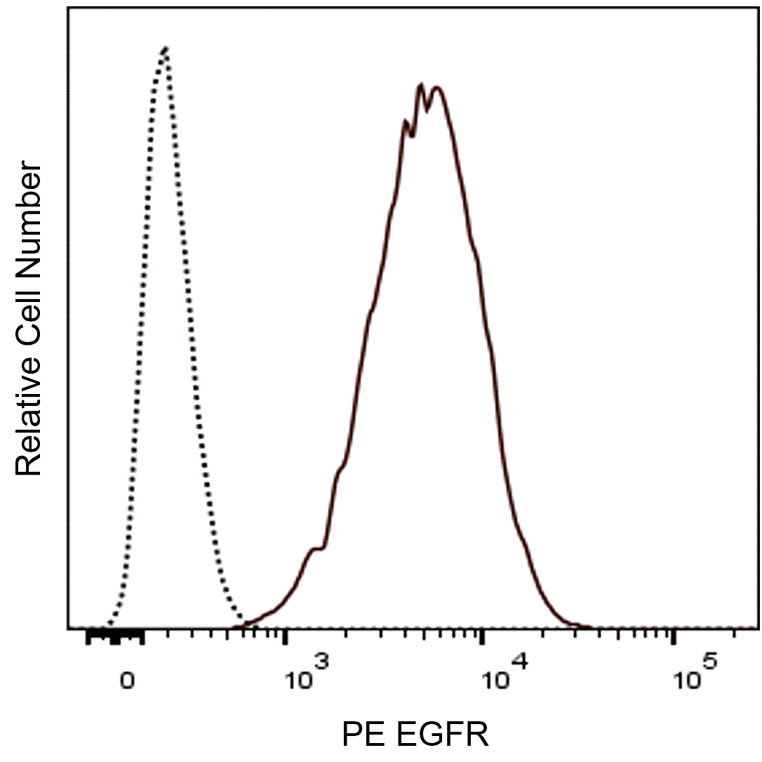 Mouse Egfr PE Rat Anti-Mouse EGFR
