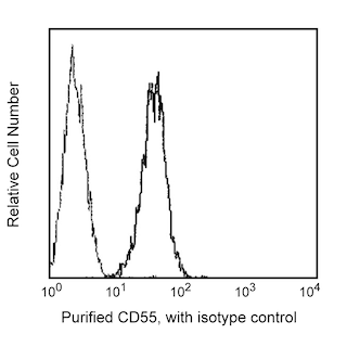 BD PharmingenTM Purified Mouse Anti-Human CD55