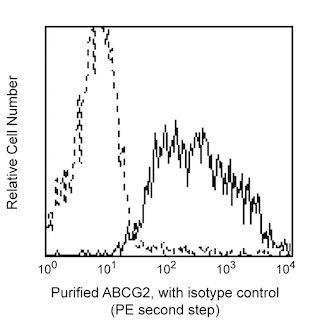 BD PharmingenTM Purified Mouse Anti-Human CD338