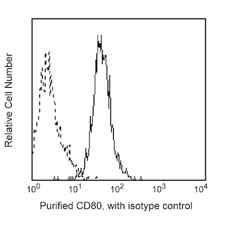 BD PharmingenTM Purified Mouse Anti-Human CD80