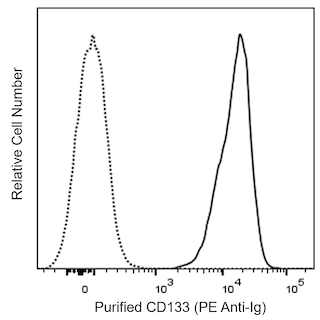 BD PharmingenTM Purified Mouse Anti-Human CD133