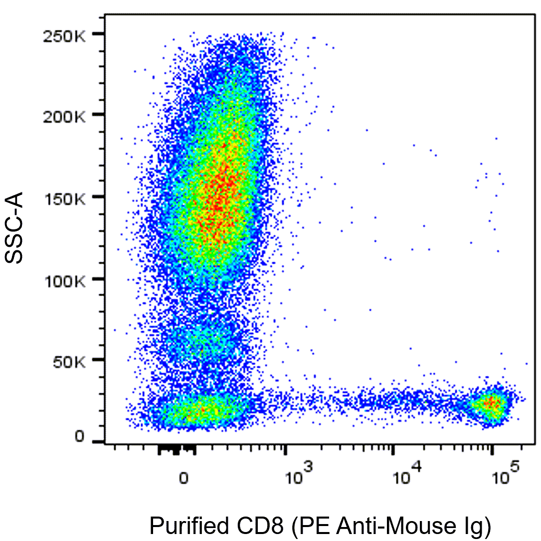 Purified Mouse Anti-Human CD8