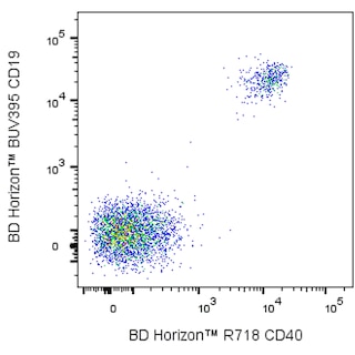 BD HorizonTM R718 Mouse Anti-Human CD40