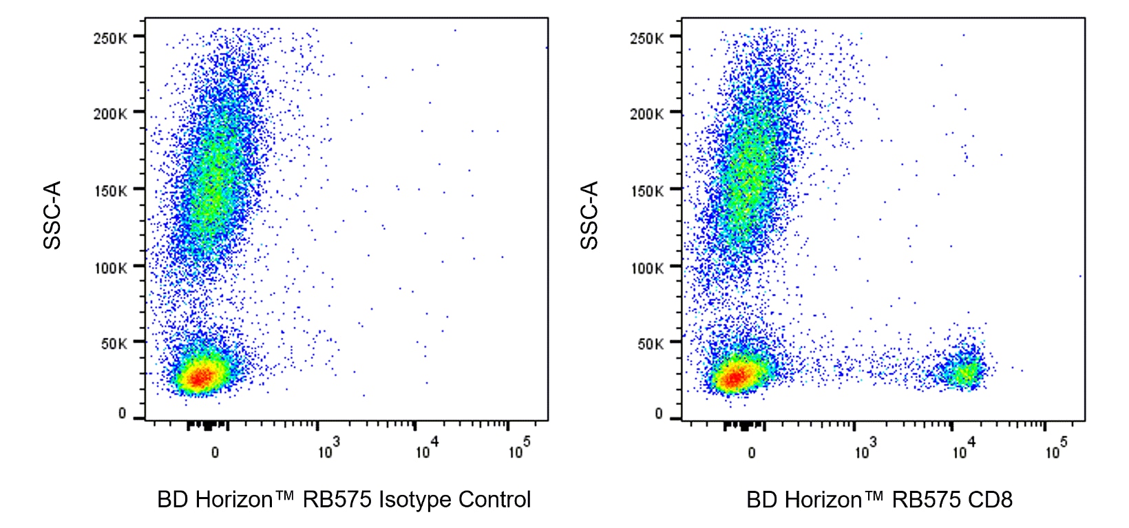 RB575 Mouse Anti-Human CD8