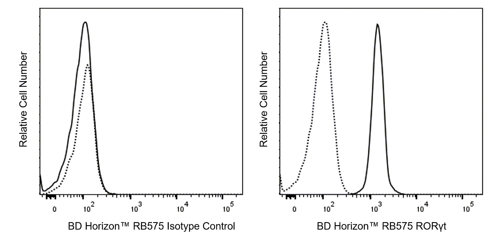 RB575 Mouse Anti-Mouse RORγt