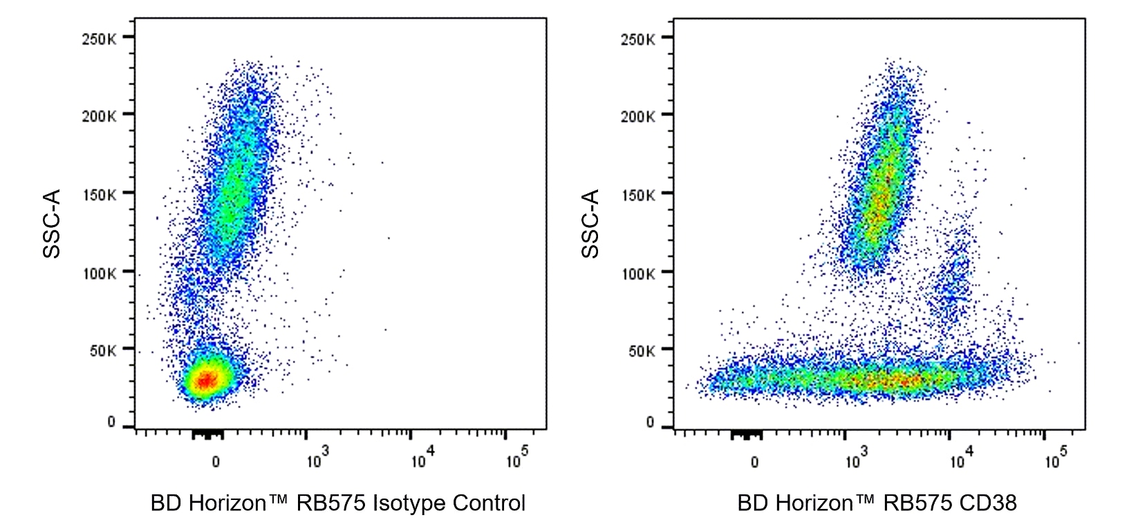 RB575 Mouse Anti-Human CD38