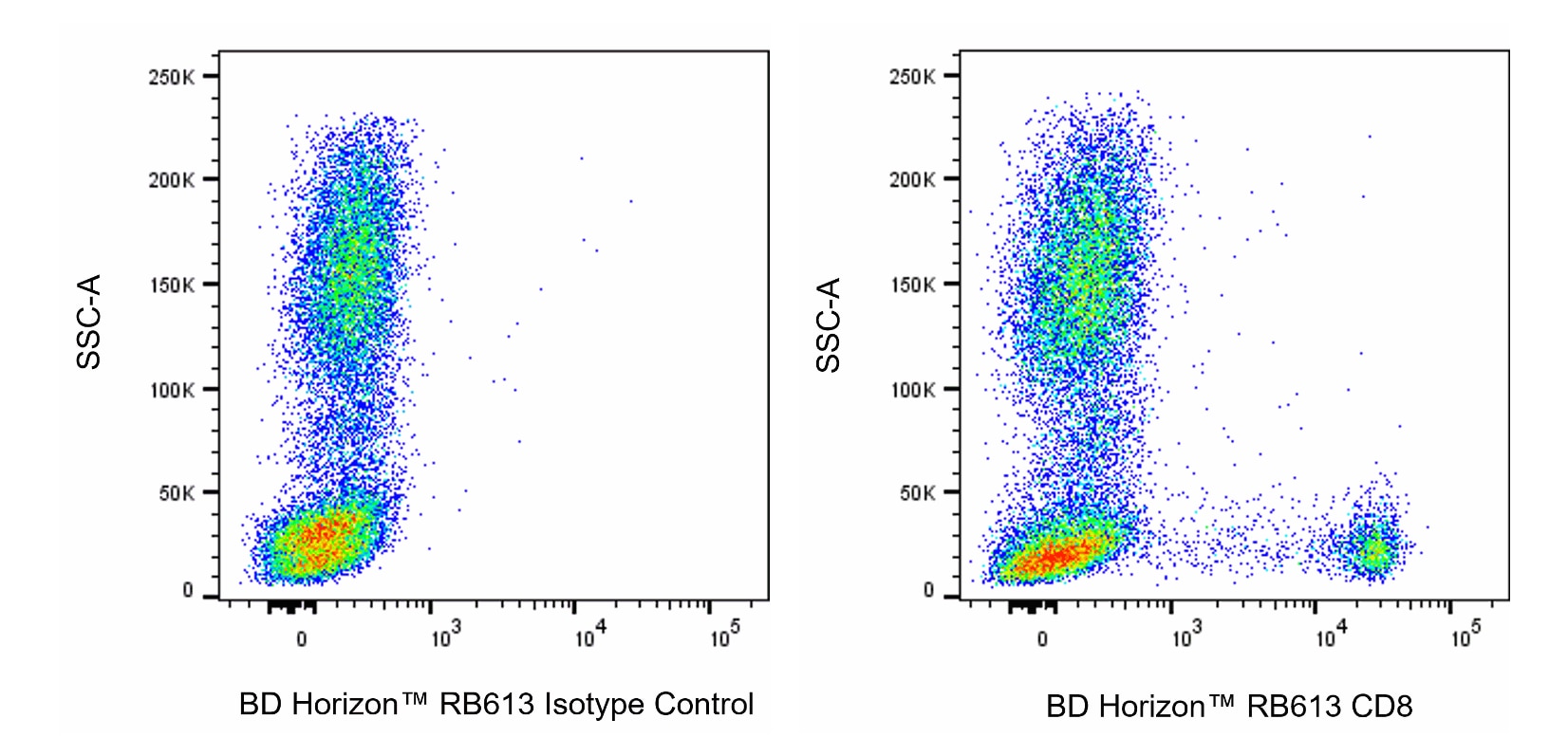 RB613 Mouse Anti-Human CD8