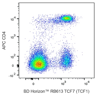 BD HorizonTM RB613 Mouse Anti-TCF7 (TCF1)