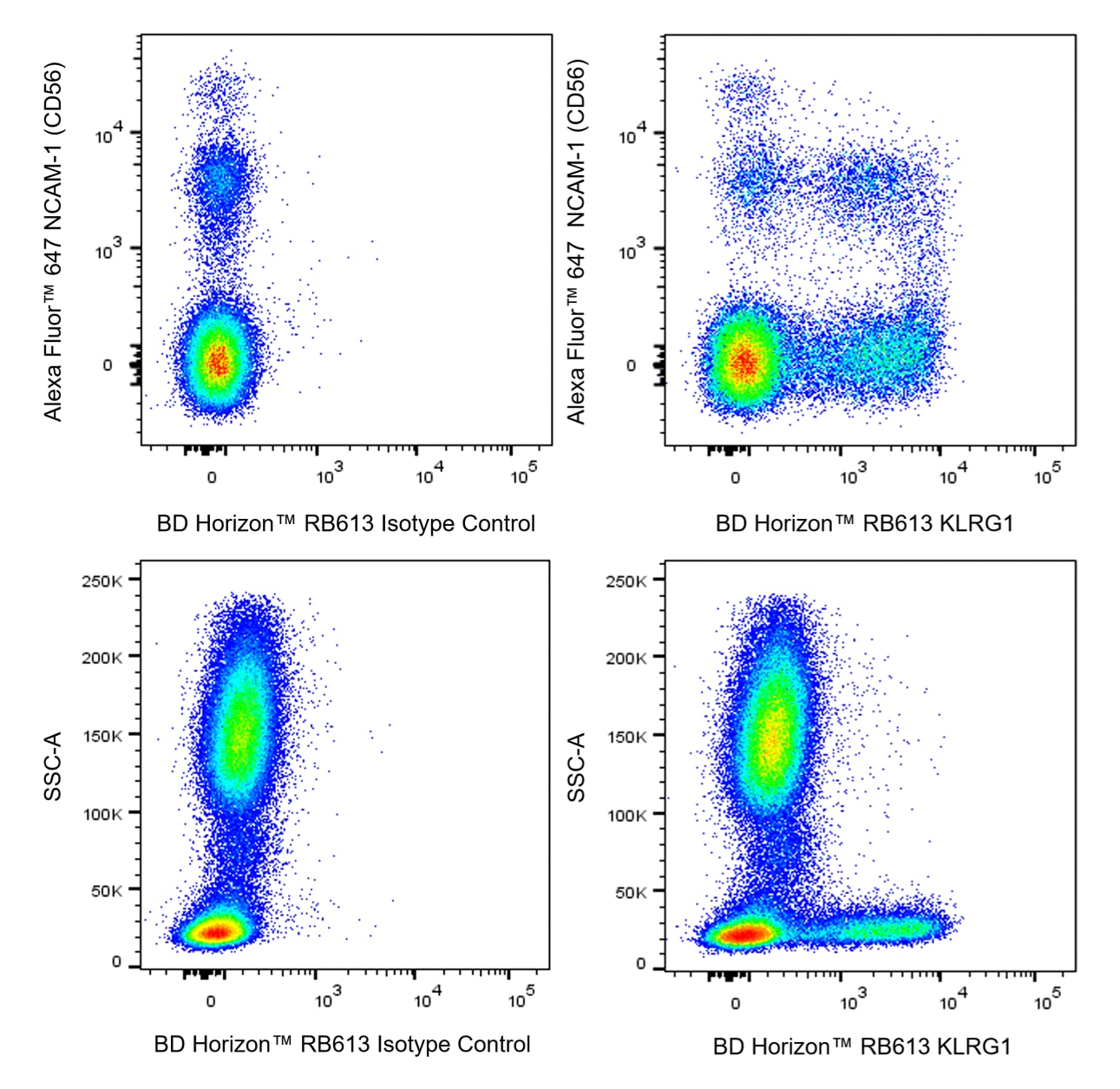 CELL No.9 BEAT CRUSADERS トロピカルゴリラ MD プロモ Amazon.co.jp: CELL No.9: ミュージック