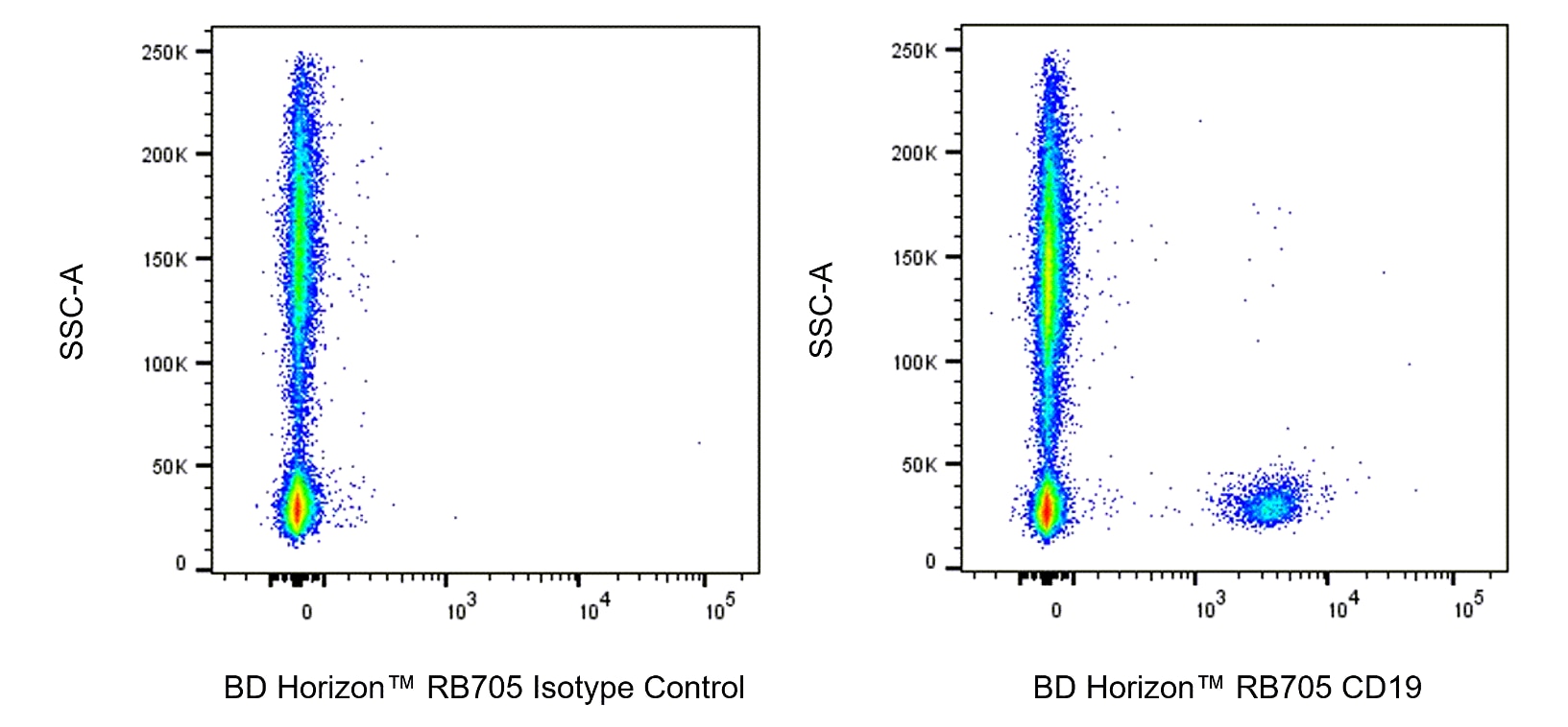RB705 Mouse Anti-Human CD19