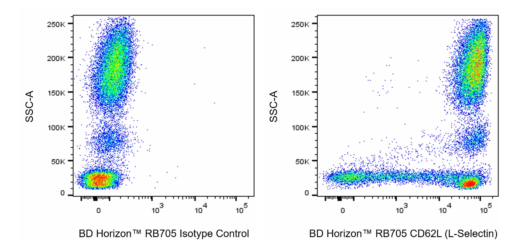 RB705 Mouse Anti-Human CD62L (L-Selectin)