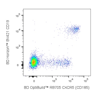 BD OptiBuildTM RB705 Rat Anti-Human CXCR5 (CD185)
