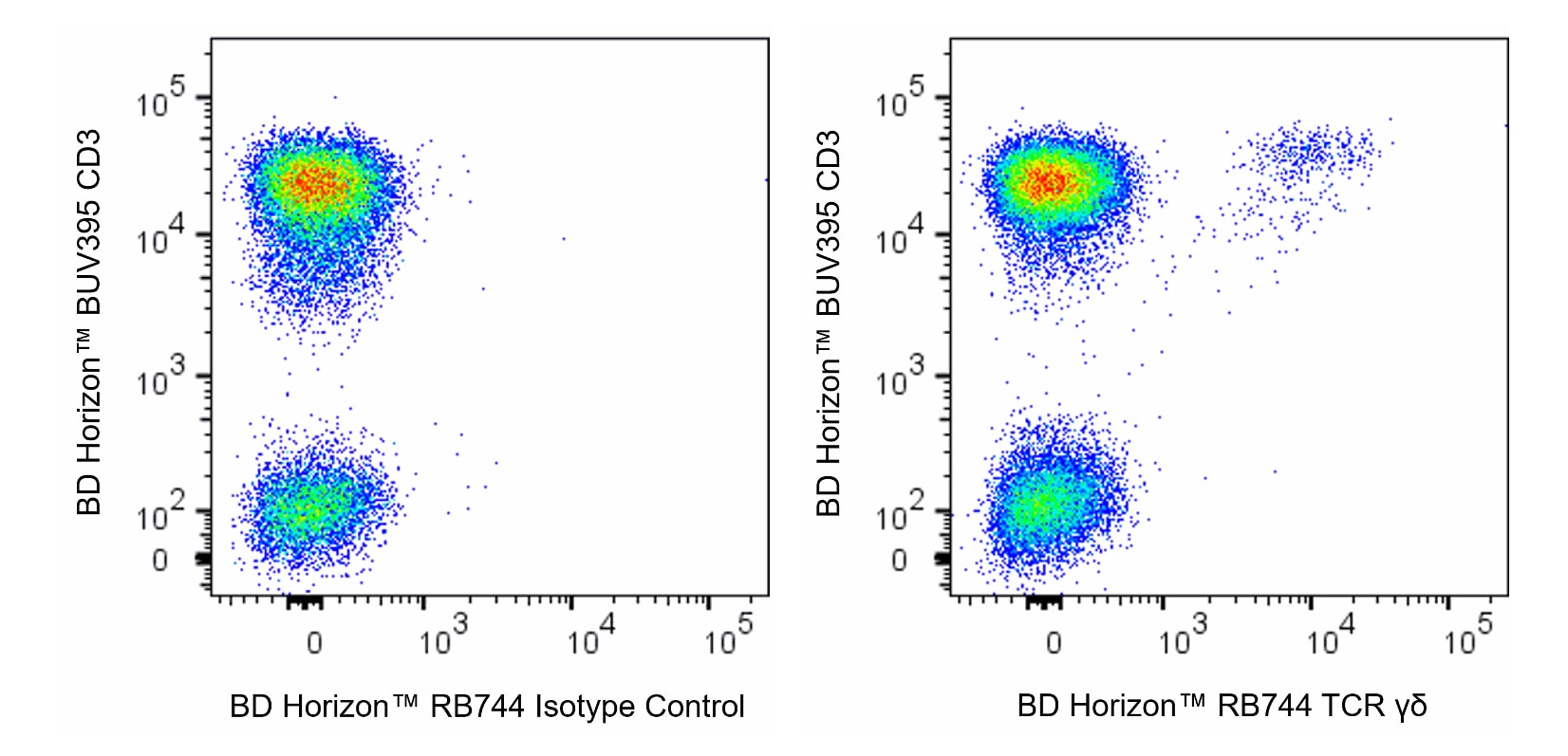 UM206様 8_000000020744.jpg?1678932760