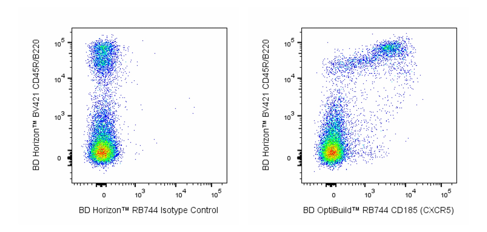RB744 Rat Anti-Mouse CD185 (CXCR5)