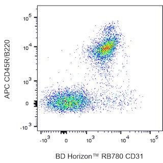 BD HorizonTM RB780 Rat Anti-Mouse CD31