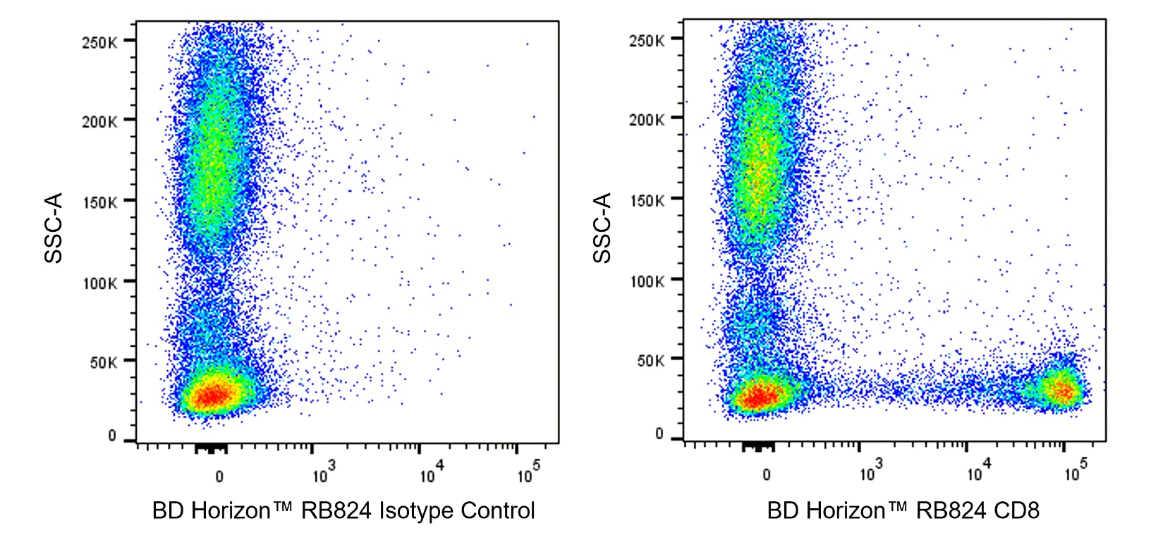 RB824 Mouse Anti-Human CD8