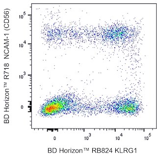 BD HorizonTM RB824 Mouse Anti-Human KLRG1