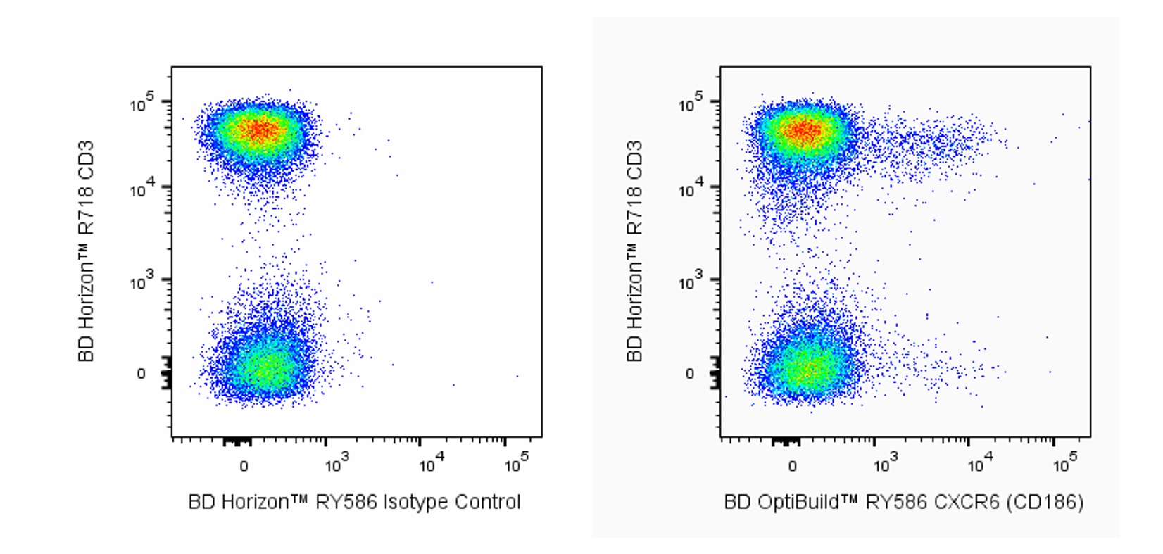 RY586 Mouse Anti-Human CXCR6 (CD186)