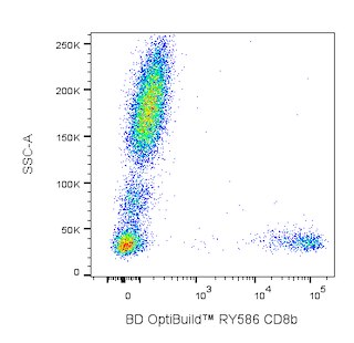 BD OptiBuildTM RY586 Mouse Anti-Human CD8b