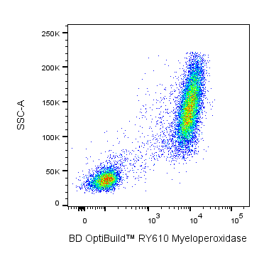 BD RY610 Mouse Anti-Human Myeloperoxidase 1B10