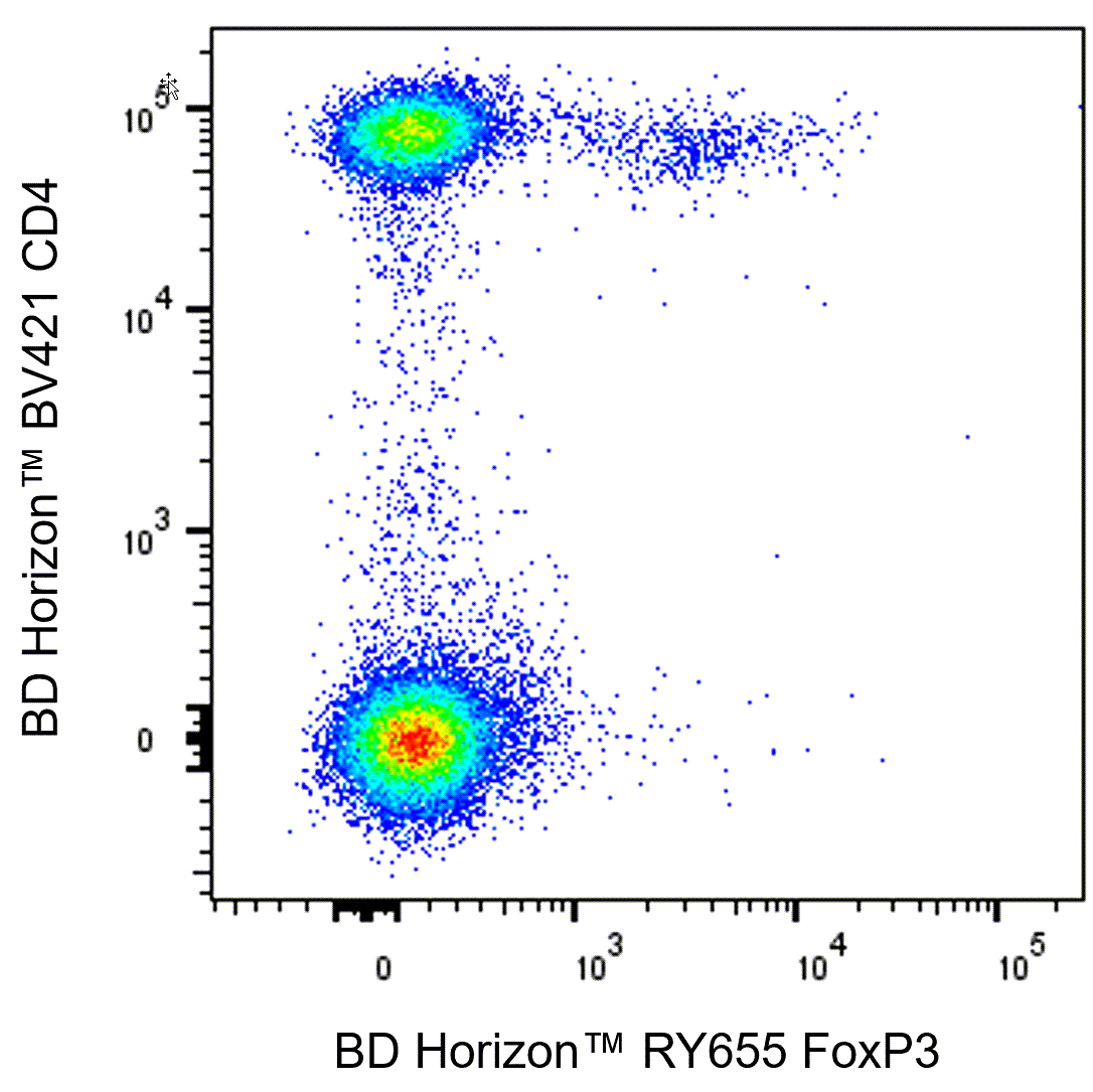 RY655 Mouse Anti-Human FoxP3