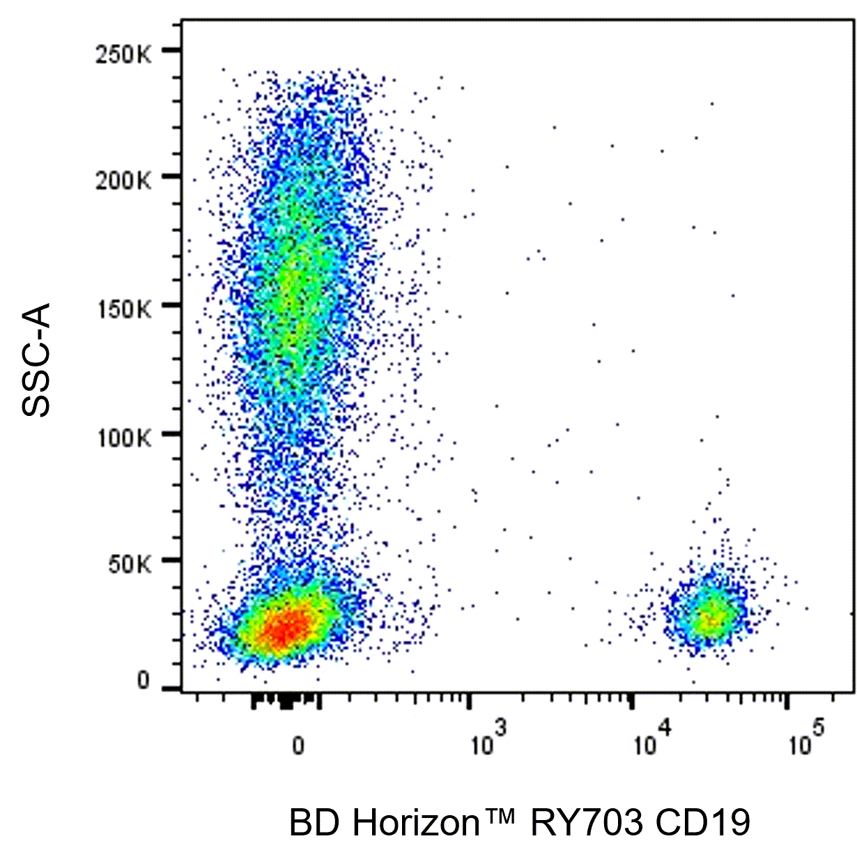 RY703 Mouse Anti-Human CD19