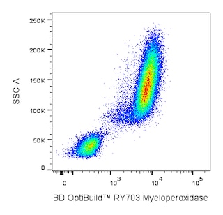 BD OptiBuildTM RY703 Mouse Anti-Human Myeloperoxidase
