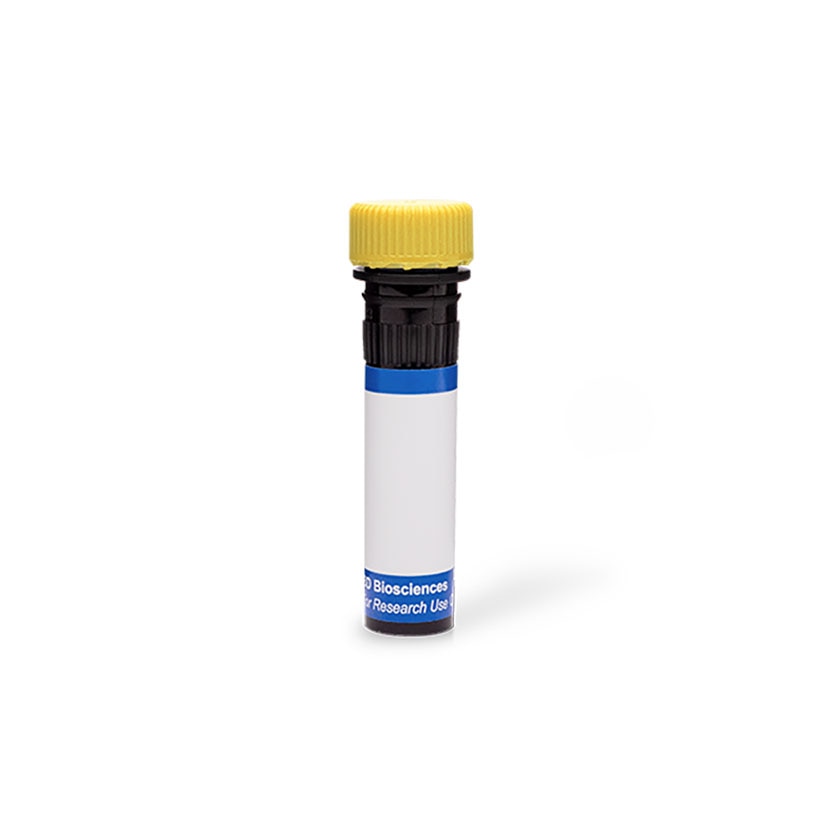 Yellow-Cap-Blue-Label.jpg