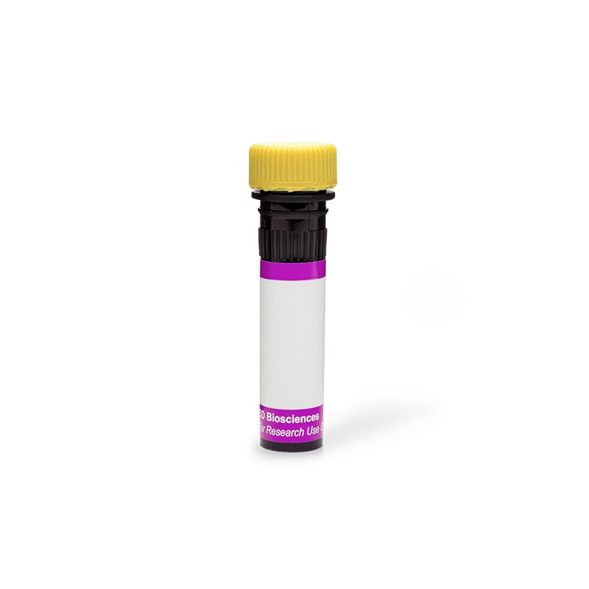 Yellow-Cap-Purple-Label.jpg