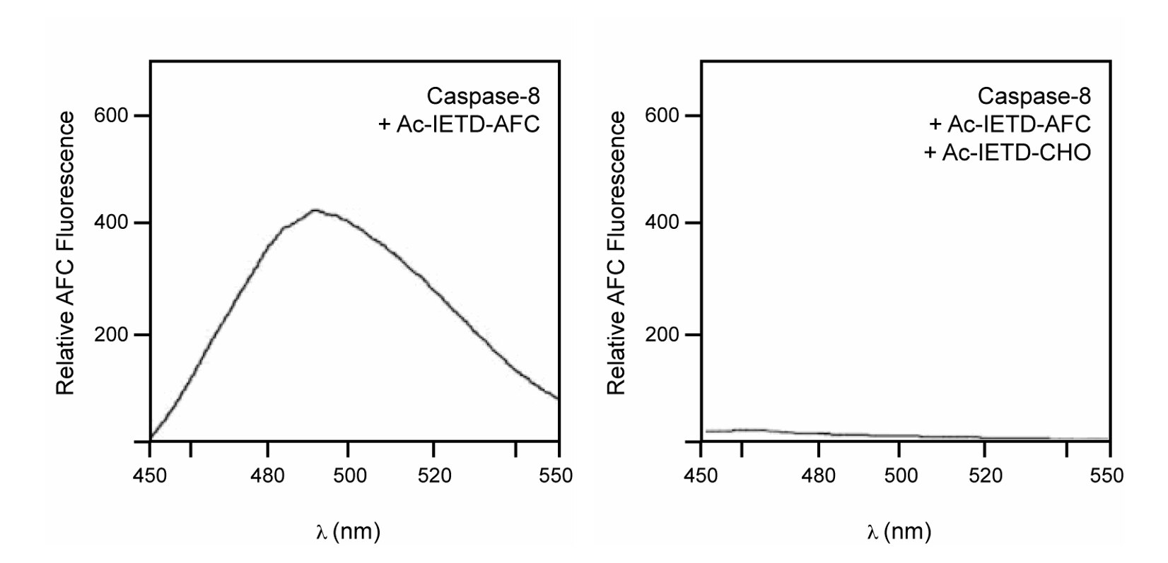 Ac-IETD-AFC Caspase-8 Fluorogenic Substrate