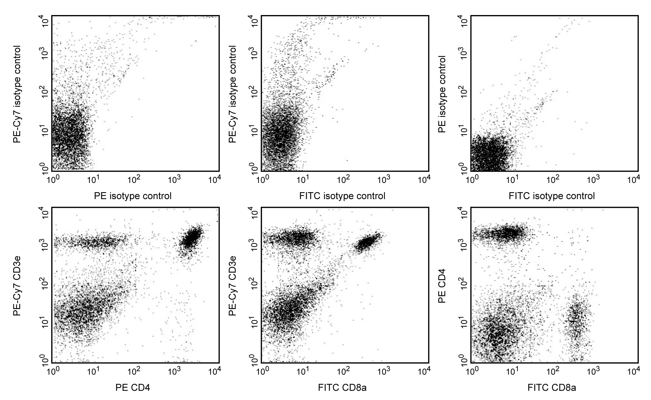 Mouse T Lymphocyte Subset Antibody Cocktail, with Isotype Control; PE-Cy™7 CD3e, PE CD4, and FITC CD8