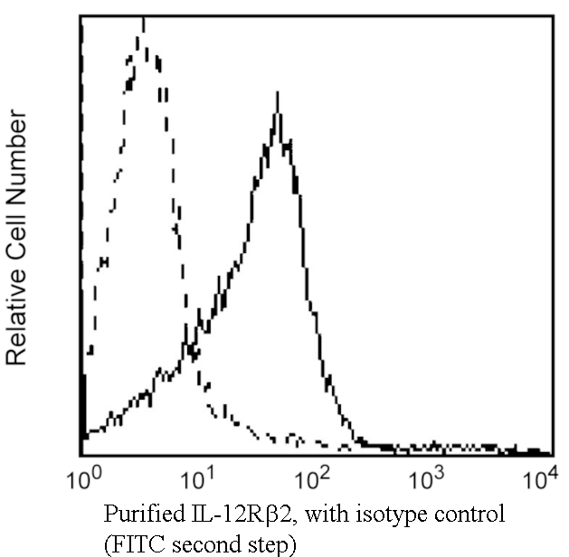 Purified Rat Anti-Human IL-12Rβ2