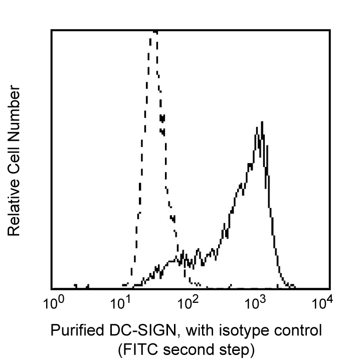 Purified Mouse Anti-Human CD209