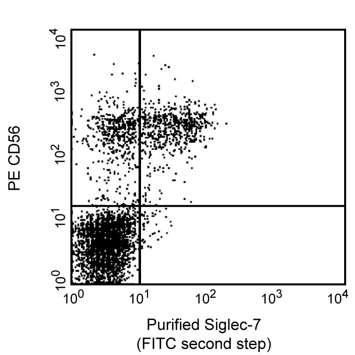 Purified Mouse Anti-Human CD328
