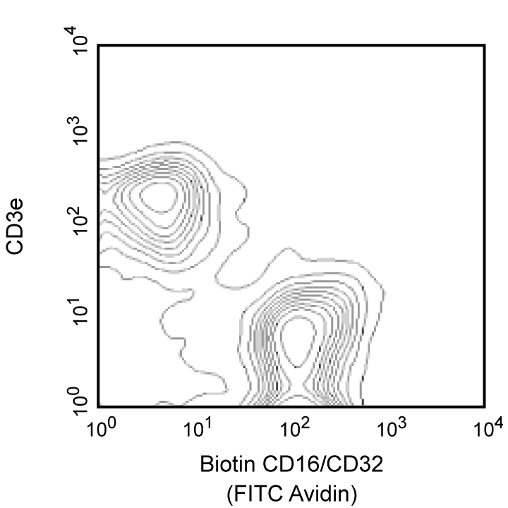 Biotin Rat Anti-Mouse CD16/CD32