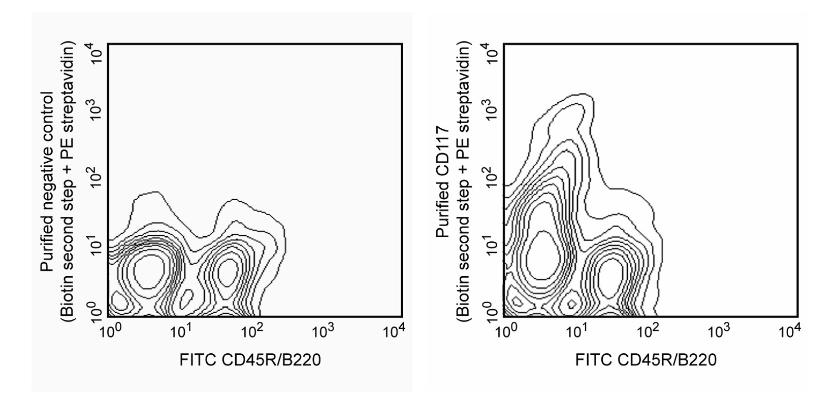 Purified Rat Anti-Mouse CD117