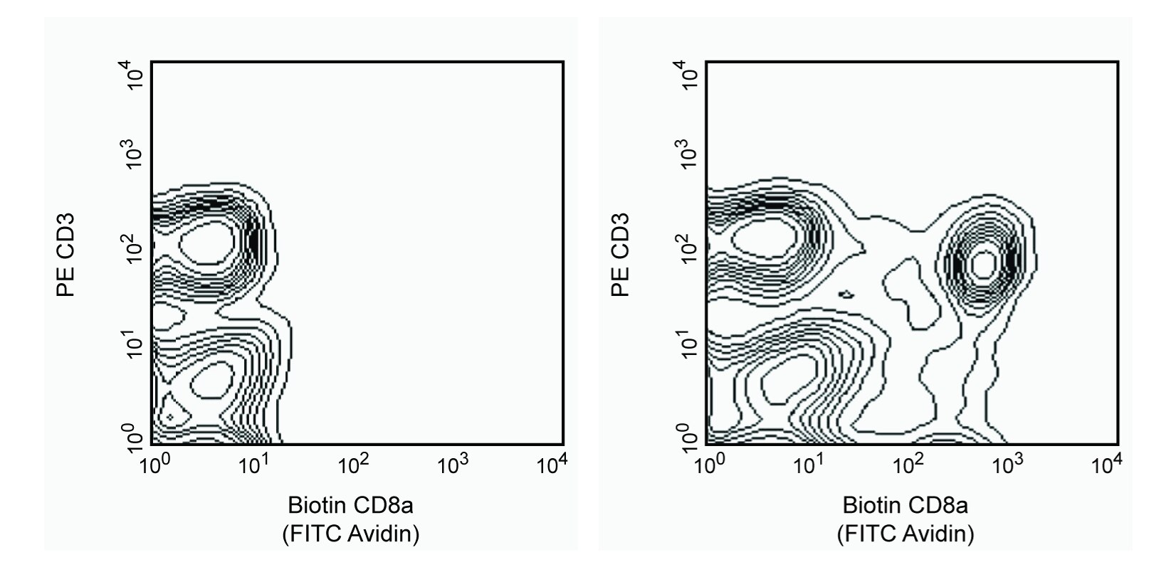Biotin Mouse Anti-Rat CD8a