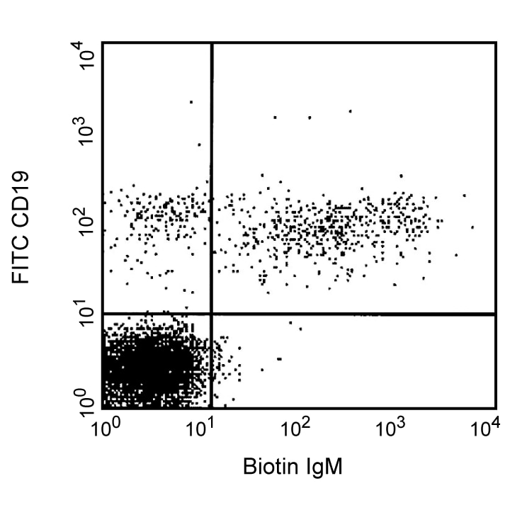 Biotin Mouse Anti-Human IgM