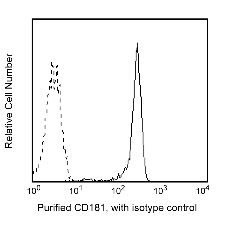 Purified Mouse Anti-Human CD181