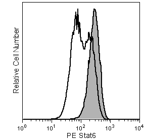 PE Mouse anti-Stat6